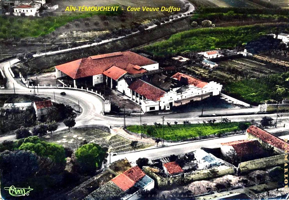 Ain-Temouchent - Cave Veuve Duffau.jpg